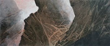 rossastro   2025   Tusche      13,5 cm x 29,5 cm