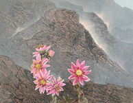 steinüberblüht   Acryllasuren auf Leinwand   2025   85cm x 109cm